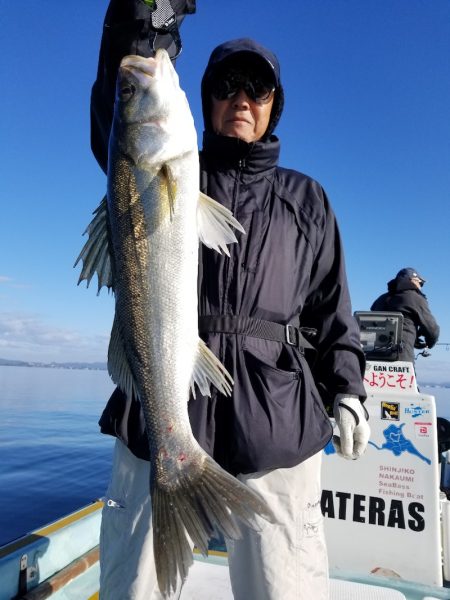 アマテラス 釣果