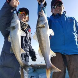 アマテラス 釣果