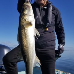 アマテラス 釣果