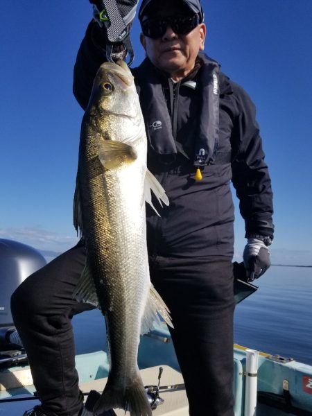 アマテラス 釣果