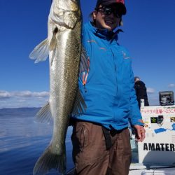 アマテラス 釣果