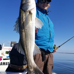 アマテラス 釣果