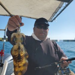 ソルトウォーターガイドフレンズ 釣果