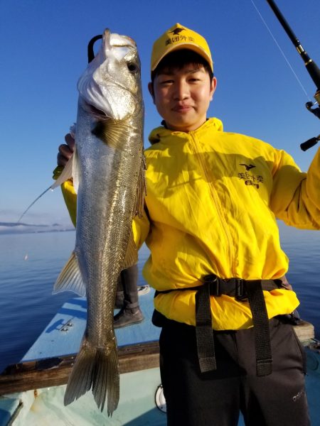 アマテラス 釣果