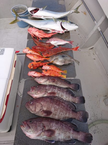 エンペラー 釣果