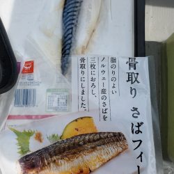 Soyamaru 釣果