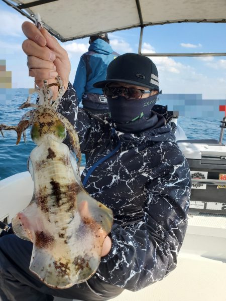 ソルトウォーターガイドフレンズ 釣果