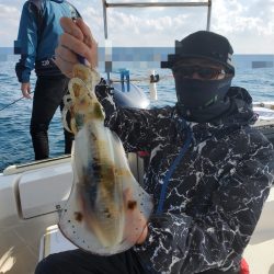 ソルトウォーターガイドフレンズ 釣果