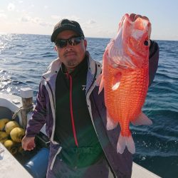 エンペラー 釣果