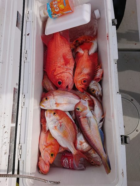 エンペラー 釣果