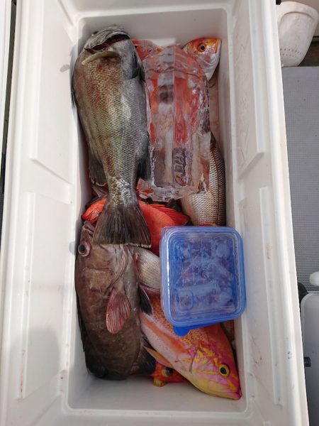 エンペラー 釣果