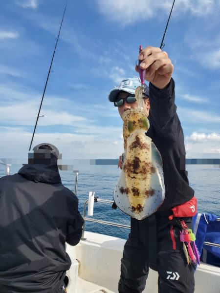 ソルトウォーターガイドフレンズ 釣果