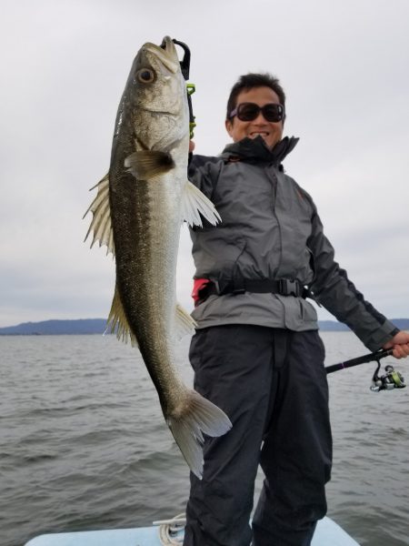 アマテラス 釣果