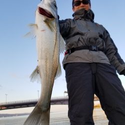 アマテラス 釣果
