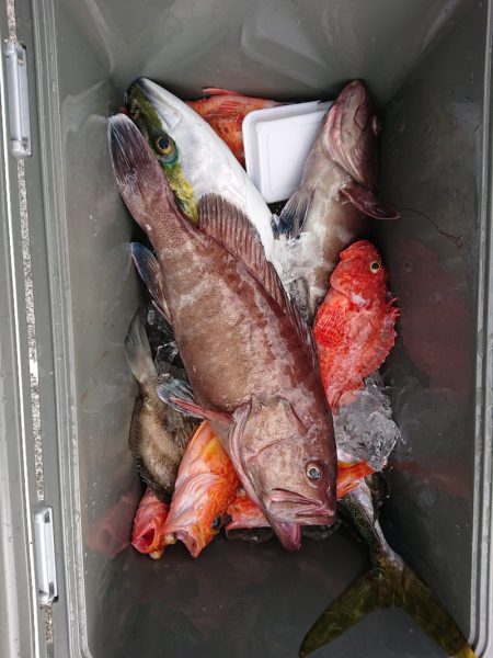 エンペラー 釣果