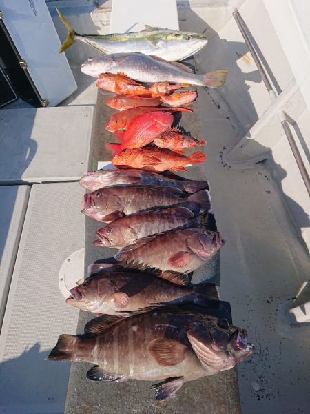 エンペラー 釣果