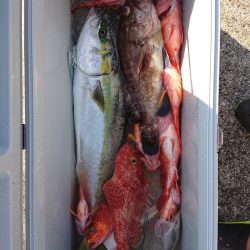 エンペラー 釣果