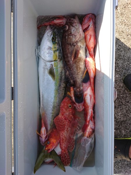 エンペラー 釣果