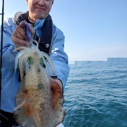 ソルトウォーターガイドフレンズ 釣果