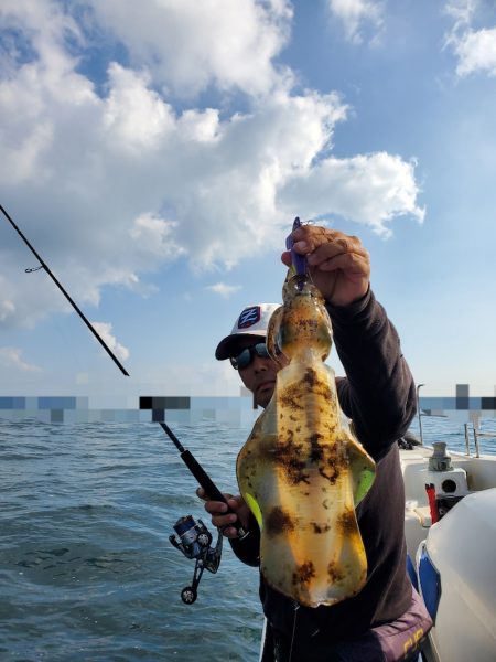 ソルトウォーターガイドフレンズ 釣果