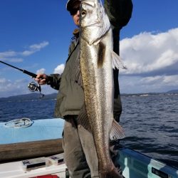 アマテラス 釣果