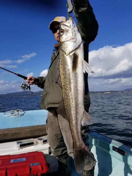 アマテラス 釣果