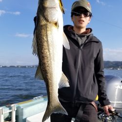 アマテラス 釣果