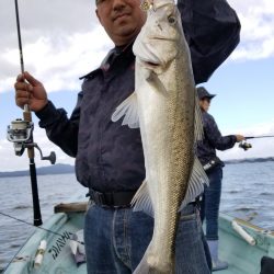 アマテラス 釣果