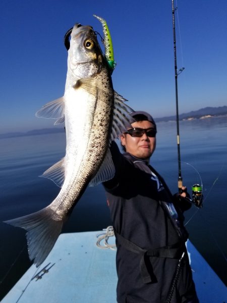 アマテラス 釣果