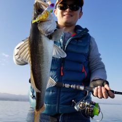 アマテラス 釣果