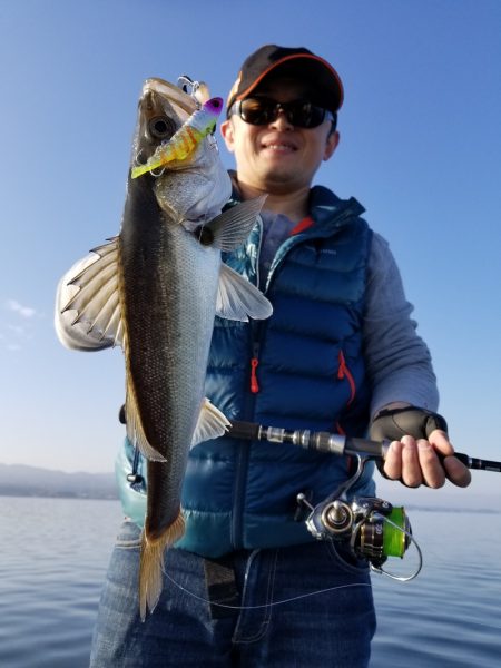 アマテラス 釣果