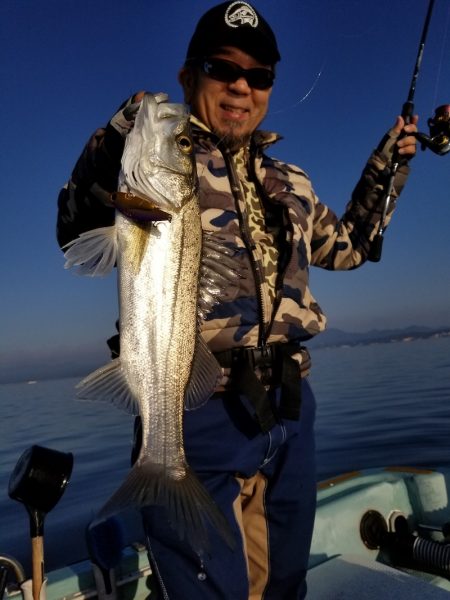 アマテラス 釣果