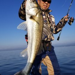 アマテラス 釣果