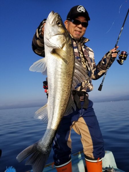 アマテラス 釣果