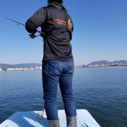 アマテラス 釣果