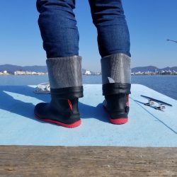 アマテラス 釣果