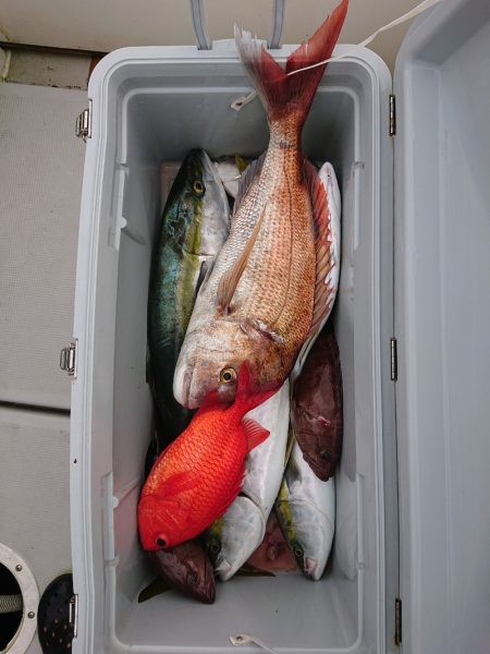 エンペラー 釣果