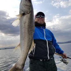 アマテラス 釣果