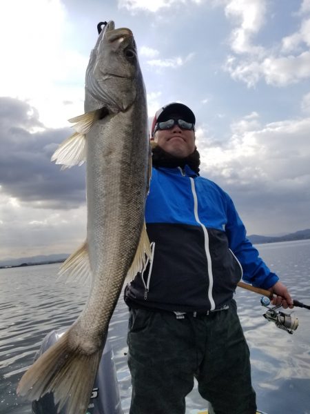 アマテラス 釣果