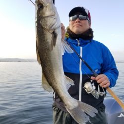 アマテラス 釣果