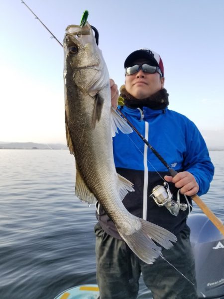 アマテラス 釣果