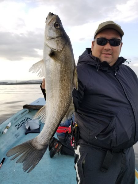 アマテラス 釣果