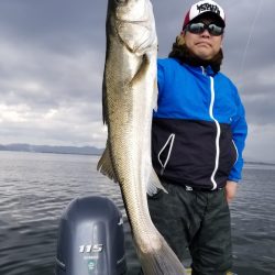 アマテラス 釣果