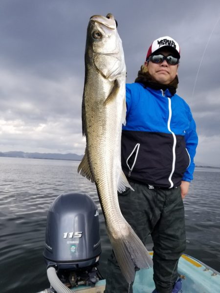 アマテラス 釣果