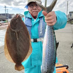 富士丸 釣果