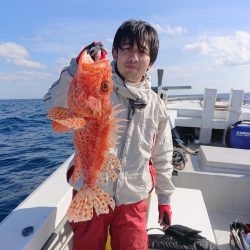 エンペラー 釣果