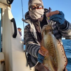 ソルトウォーターガイドフレンズ 釣果