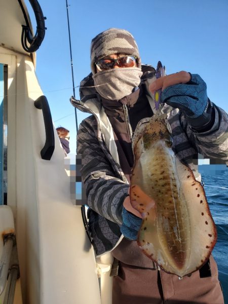 ソルトウォーターガイドフレンズ 釣果