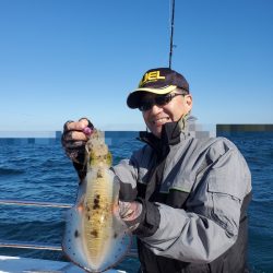 ソルトウォーターガイドフレンズ 釣果