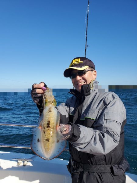 ソルトウォーターガイドフレンズ 釣果